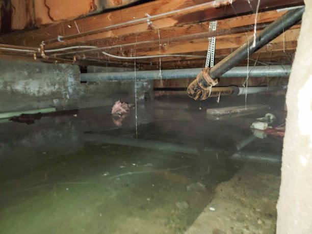 Water damage restoration insurance claims in Gardiner, ME